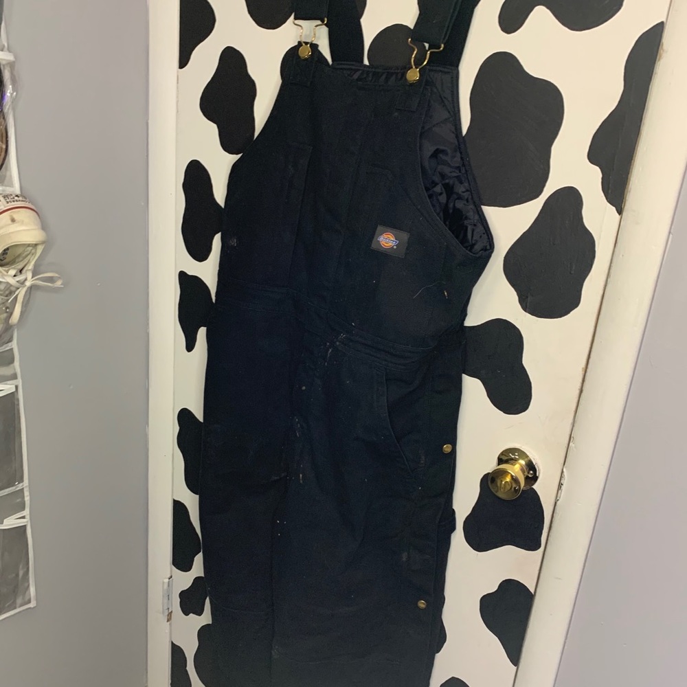 Men’s insulated overalls